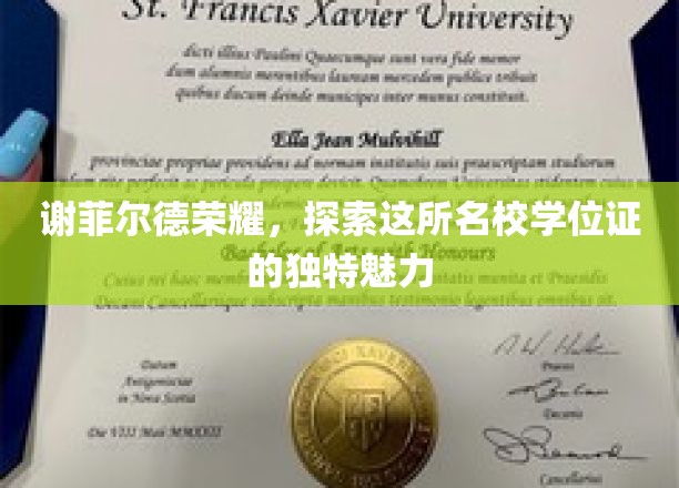 谢菲尔德荣耀揭秘，学位证背后的独特魅力之旅