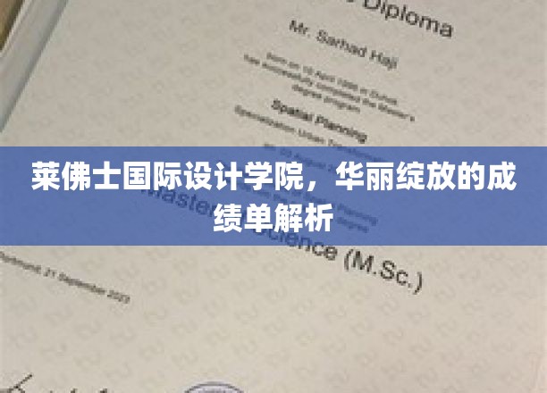 莱佛士国际设计学院，华丽绽放的成绩单解析