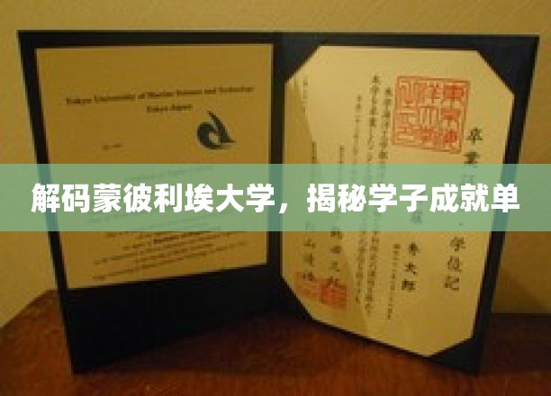 蒙彼利埃大学学霸养成记，揭秘学子非凡成就之路