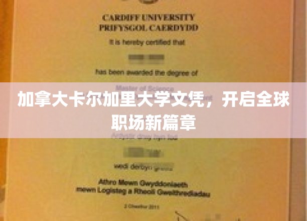 卡尔加里大学文凭，助力国际职场飞跃新境界