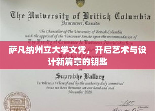 艺术启航，萨凡纳州立文凭解锁设计未来之门