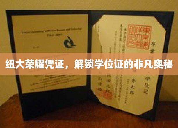 纽大荣耀证书，揭秘学位证的神秘面纱