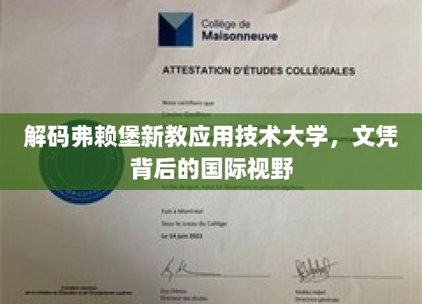 探索弗赖堡新教应用技术大学，文凭背后的全球视野之旅