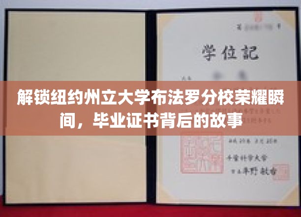 探寻布法罗分校荣耀足迹，毕业证书背后的不凡历程