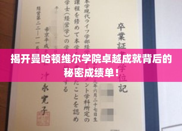 曼哈顿维尔学院，揭秘非凡成就背后的惊人成绩单！