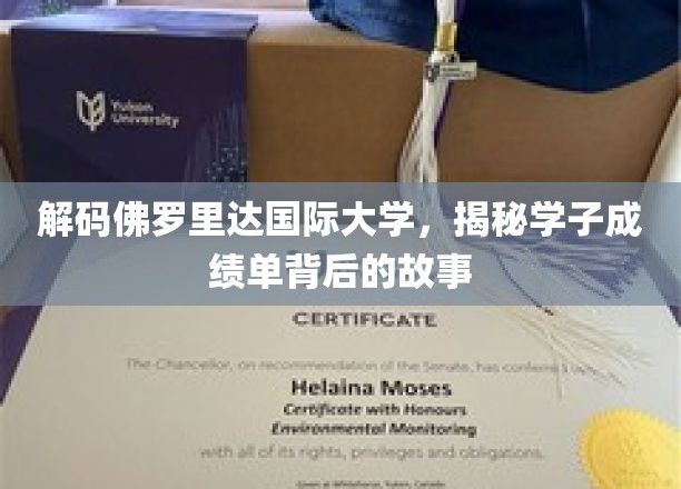 佛罗里达国际大学学子成绩单，揭开非凡背后的秘密之旅