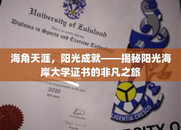 阳光海岸证书传奇，海角天涯的阳光之旅，成就非凡人生篇章