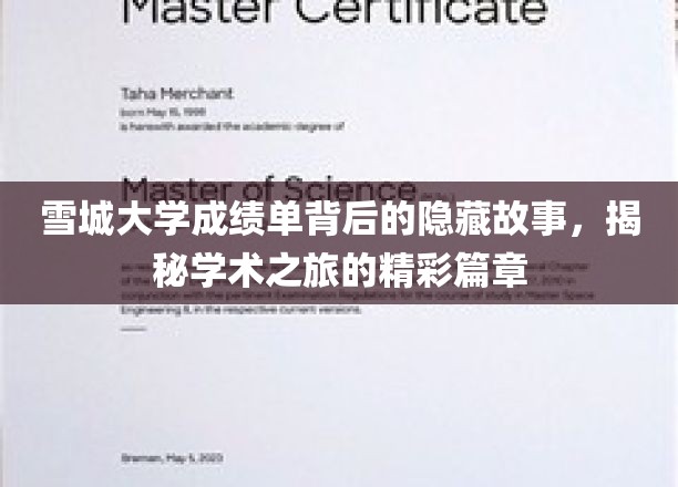 雪城大学成绩单背后的隐藏故事，揭秘学术之旅的精彩篇章