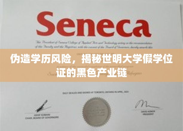 学历作假隐秘网，揭开世明大学假学位证的暗流涌动