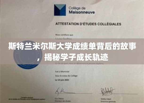斯特兰米尔斯大学成绩单，解码学子成长之路的神秘面纱