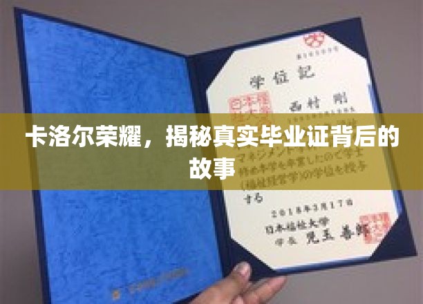 卡洛尔荣耀，探寻学历背后的传奇与真相