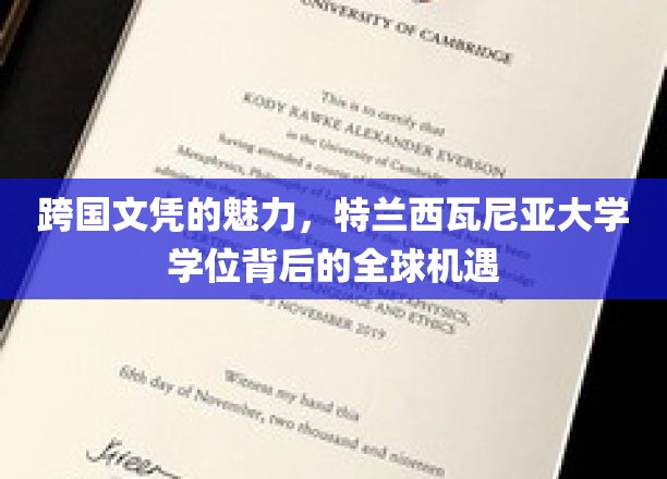 全球通行证，探索特兰西瓦尼亚大学学位的独特价值