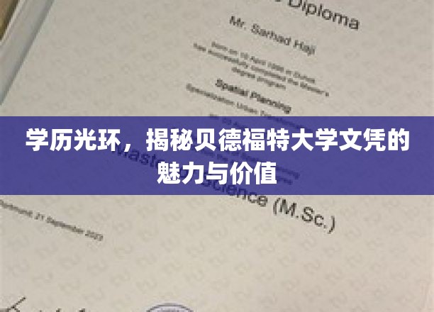 解码贝德福特，名校文凭背后的独特魅力与无限可能