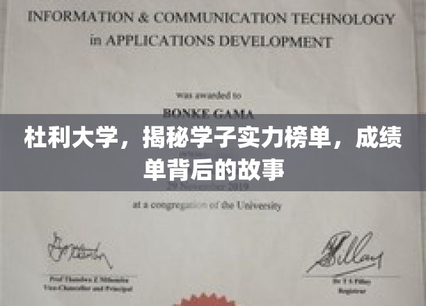 杜利大学，揭秘学子实力榜单，成绩单背后的故事