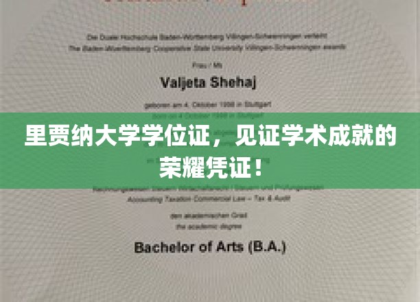 学术荣耀里程碑，里贾纳大学学位证，成就非凡的证明篇章