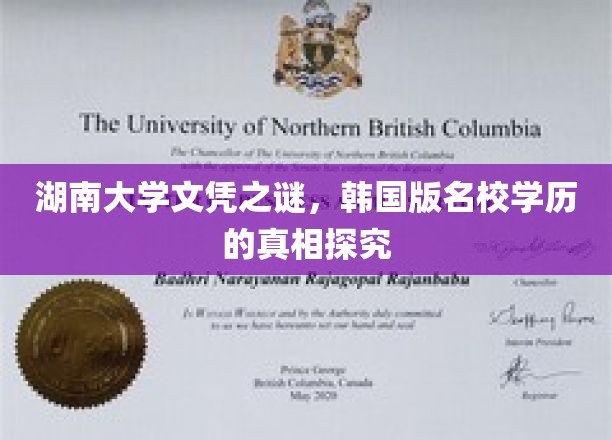 湖南大学文凭之谜，韩国版名校学历的真相探究
