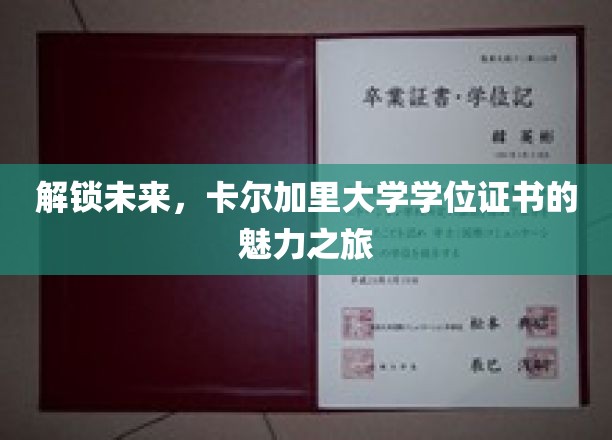 解锁未来，卡尔加里大学学位证书的魅力之旅
