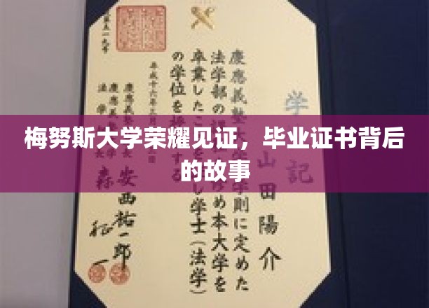 梅努斯大学荣耀见证，毕业证书背后的故事