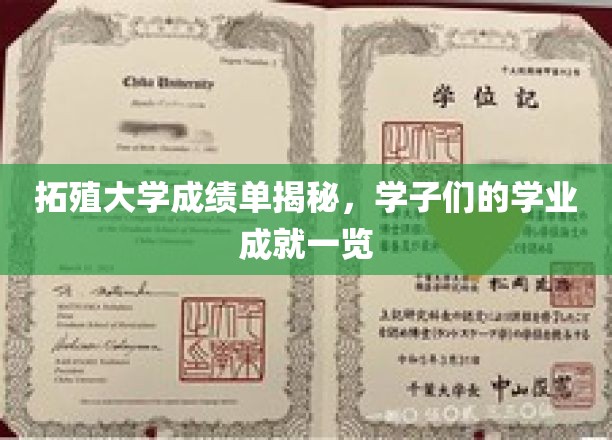 拓殖大学学子风采，揭秘他们的学术荣耀之路