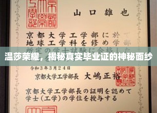 探寻温莎荣耀，毕业证背后的不为人知故事