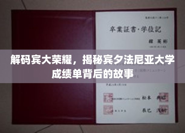 宾大荣耀揭秘，揭秘成绩单背后的精彩故事