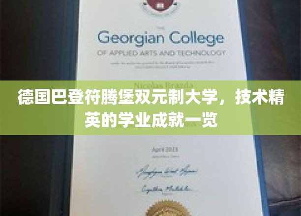 德国巴登符腾堡双元制大学，技术精英的学业成就一览