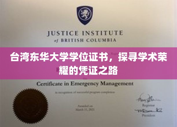 学术荣耀的足迹，揭秘台湾东华大学学位证书背后的故事