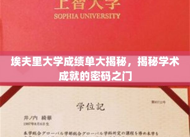 埃夫里大学成绩单大揭秘，揭秘学术成就的密码之门