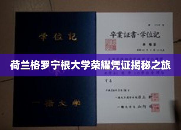 荷兰格罗宁根大学荣耀凭证揭秘之旅