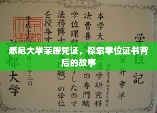悉尼大学荣耀凭证，探索学位证书背后的故事