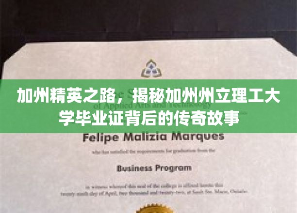 加州精英之路，探寻加州州立理工大学毕业证背后的传奇故事
