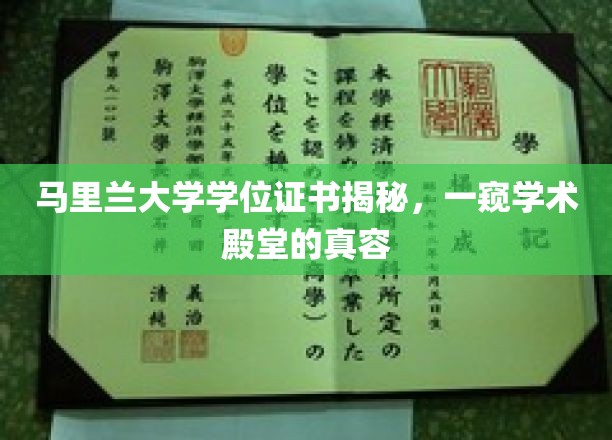 马里兰大学学位证书揭秘，一窥学术殿堂的真容