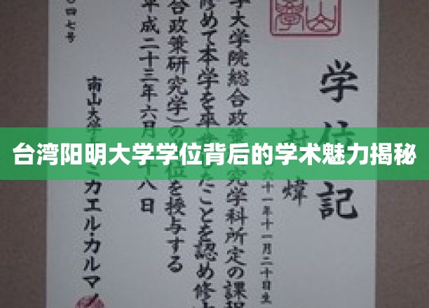 解码阳明，台湾顶尖学府学位背后的学术风采