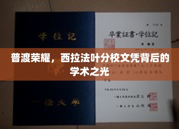 普渡荣耀，西拉法叶分校文凭背后的学术之光