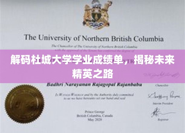 解码杜城大学学业成绩单，揭秘未来精英之路