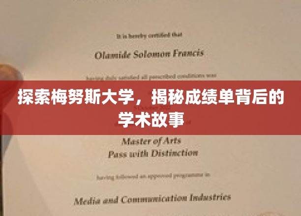 梅努斯大学揭秘，成绩单背后的学术传奇之旅