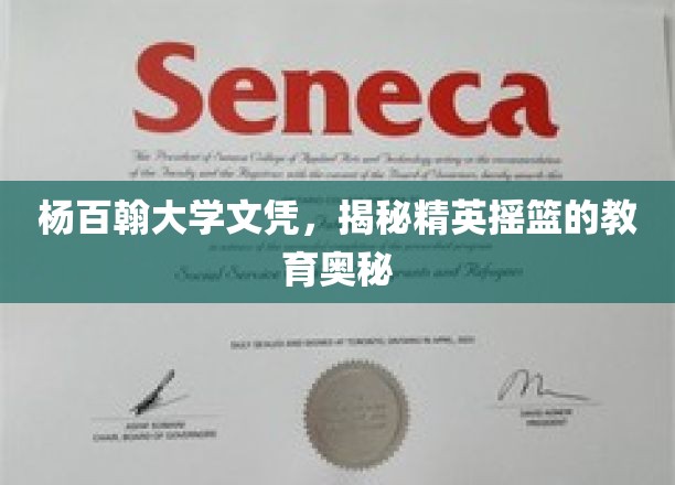 杨百翰大学文凭背后的精英教育秘籍，探索顶尖学府的培养之道