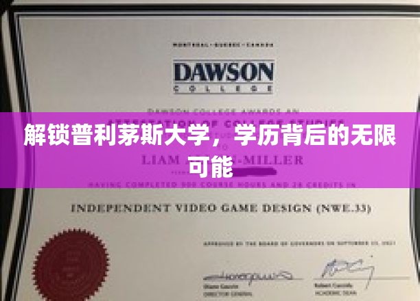 探索普利茅斯学府，揭开学术成就的多元未来