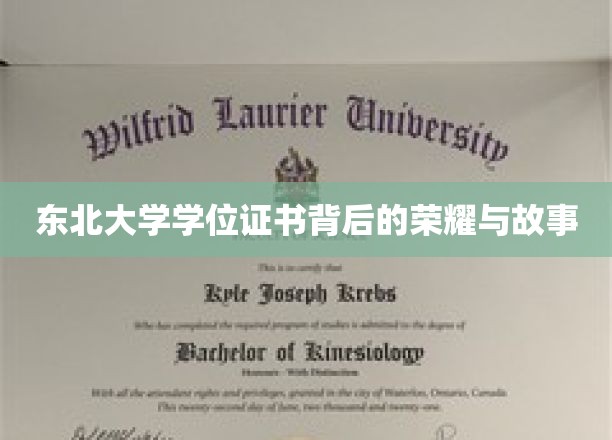 东北大学学位证书背后的荣耀与故事