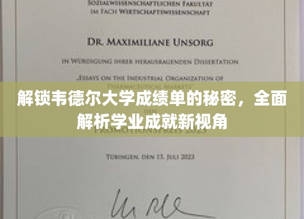 揭示韦德尔大学成绩单背后的奥秘，探索学业成就的独特视角