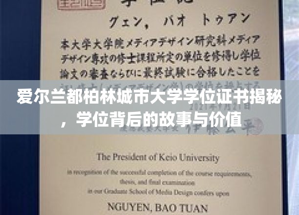 爱尔兰都柏林城市大学学位证书揭秘，学位背后的故事与价值