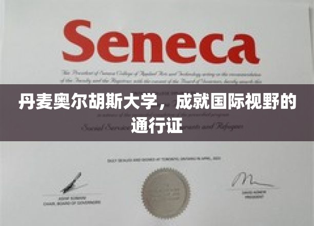 探索国际舞台的钥匙，丹麦奥尔胡斯大学的全球视野通行证