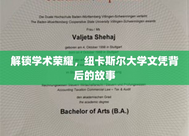 解锁学术荣耀，纽卡斯尔大学文凭背后的故事