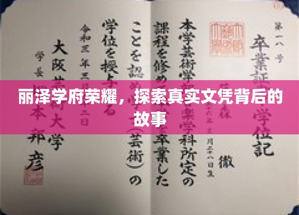 丽泽学府之光，揭开文凭背后的非凡历程
