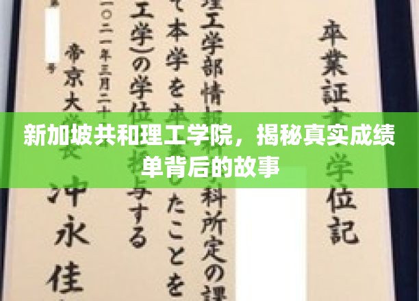 解码新加坡共和理工学院，成绩单背后的不凡历程