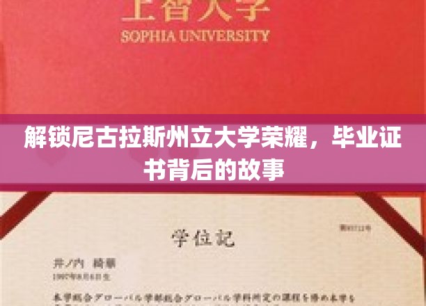 尼古拉斯荣耀揭晓，毕业证书背后的不凡传奇