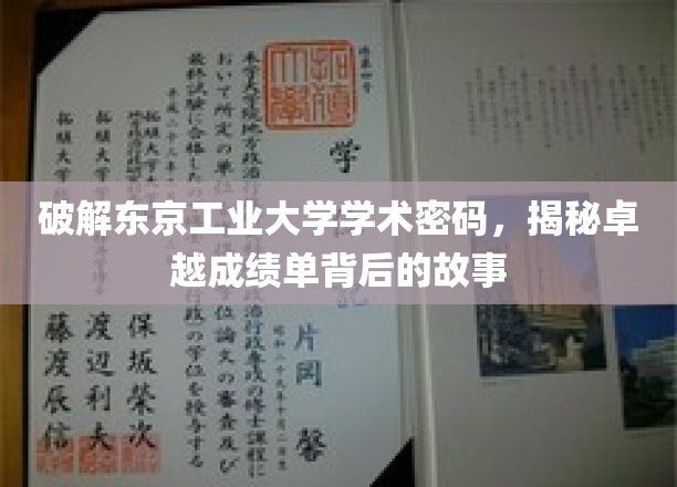 解锁东京工业大学学术密码，揭秘卓越成绩单背后的故事