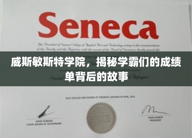 解码学霸传奇，威斯敏斯特学院背后的学习秘籍
