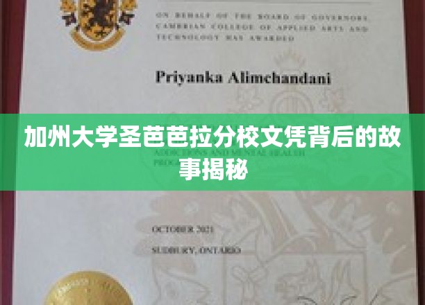 加州圣芭芭拉文凭之谜，揭开名校背后的真实面纱