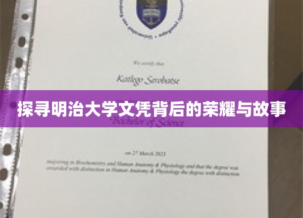 揭秘明治大学文凭的传奇魅力与历史印记